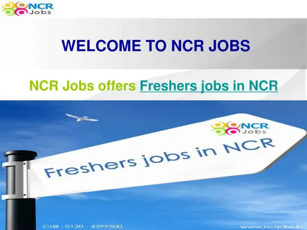 Freshers jobs in NCR