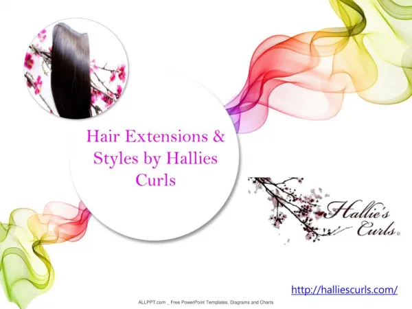 Human Hair Extensions