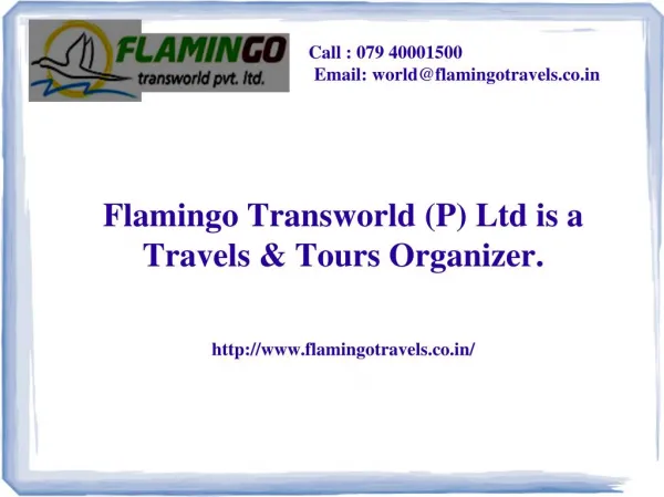 Flamingo Transworld Offers Dubai Tour Packages Services, Visa, Corporate Services
