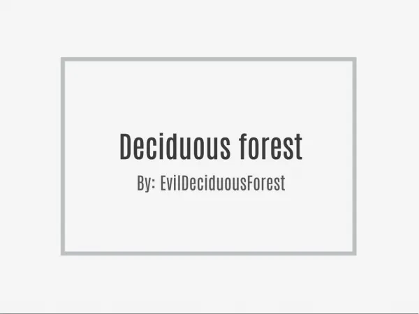 Deciduous forest