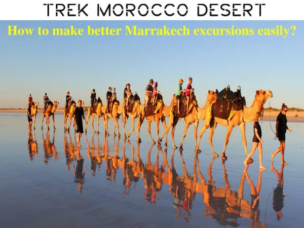 How to make better Marrakech excursions easily?