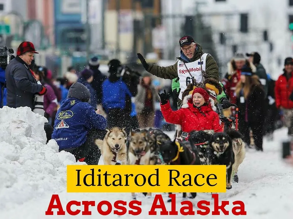 iditarod race crosswise over alaska