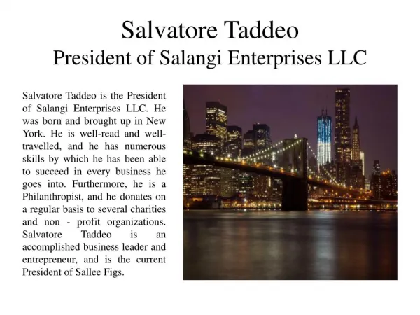 Salvatore Taddeo - President of Salangi Enterprises LLC