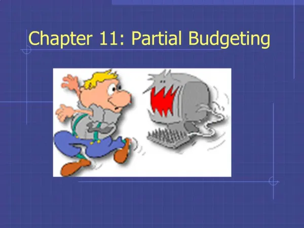 Chapter 11: Partial Budgeting