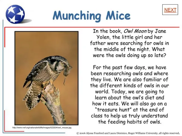 Munching Mice