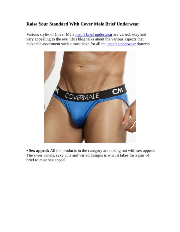 Raise Your Standard With Cover Male Brief Underwear