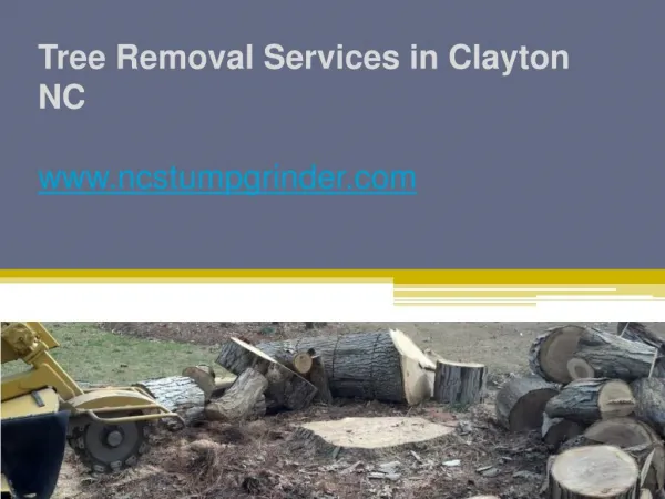 Tree Removal Services in Clayton NC - www.ncstumpgrinder.com