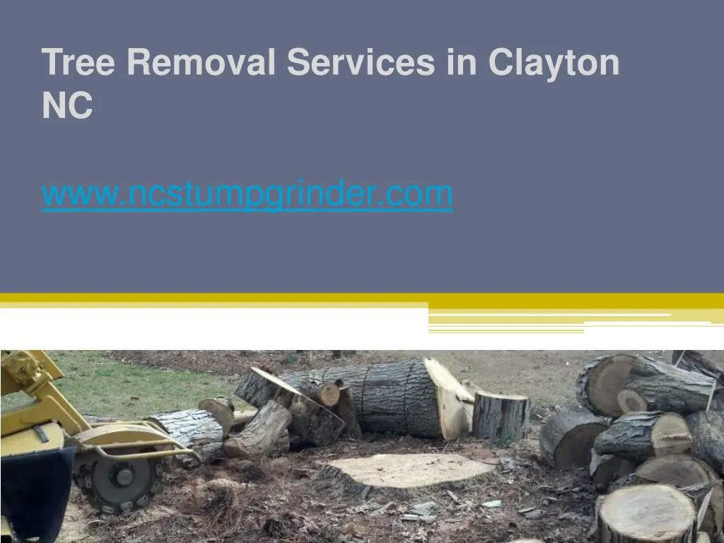 tree removal services in clayton nc www ncstumpgrinder com