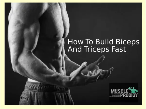 The best Exercises To Build Biceps