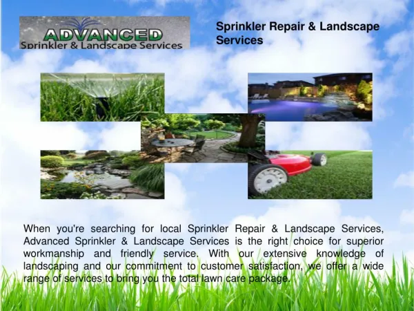 Landscaping Design & Installation
