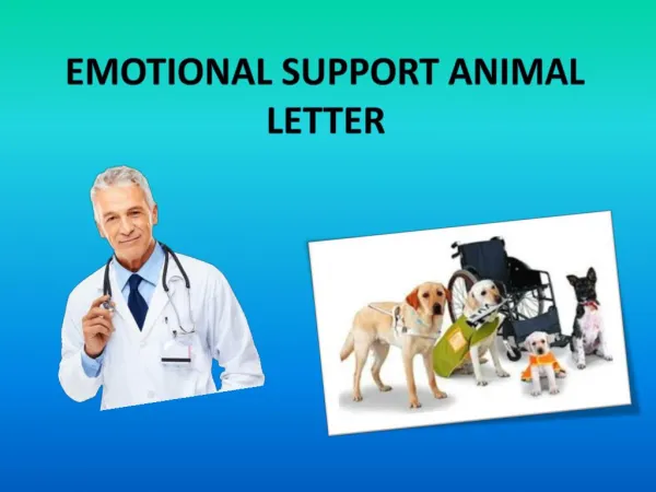 Thedogtoronline.net/emotional-support-animal-letter