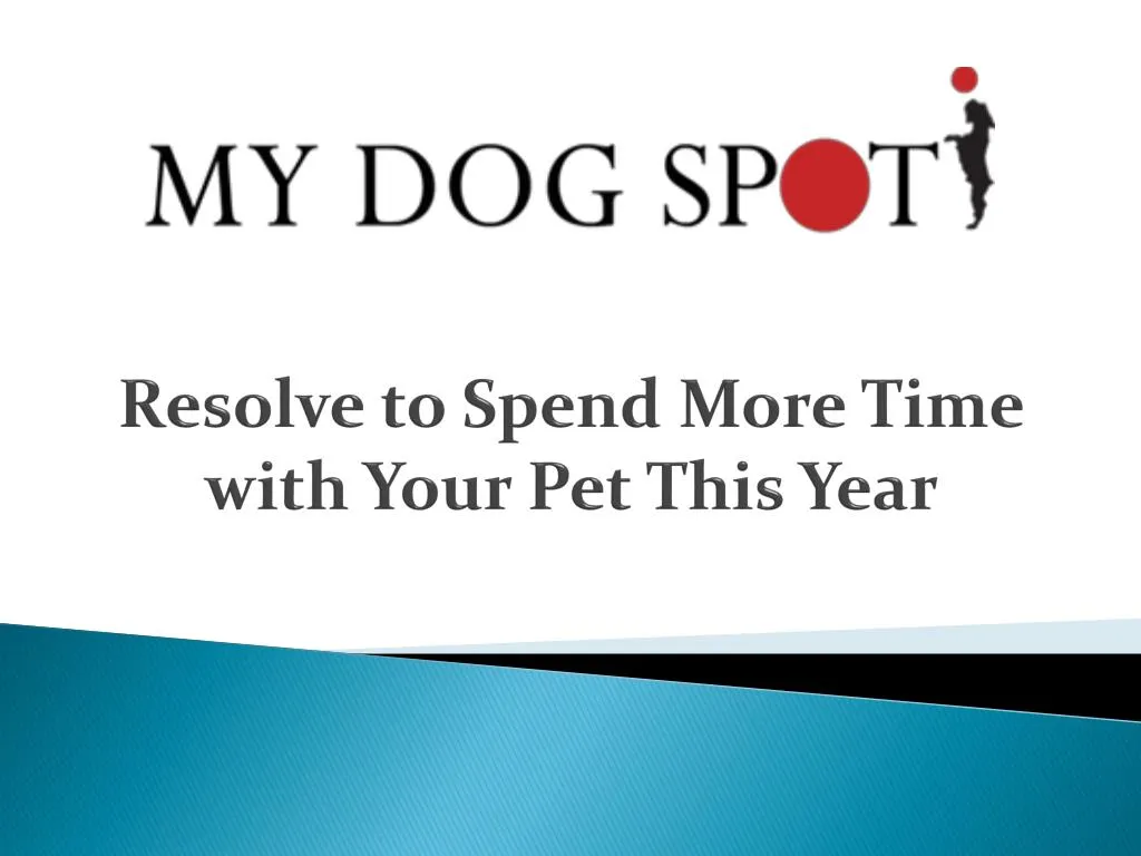 resolve to spend more time with your pet this year