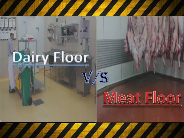 Dairy Floors Vs Meat Floors