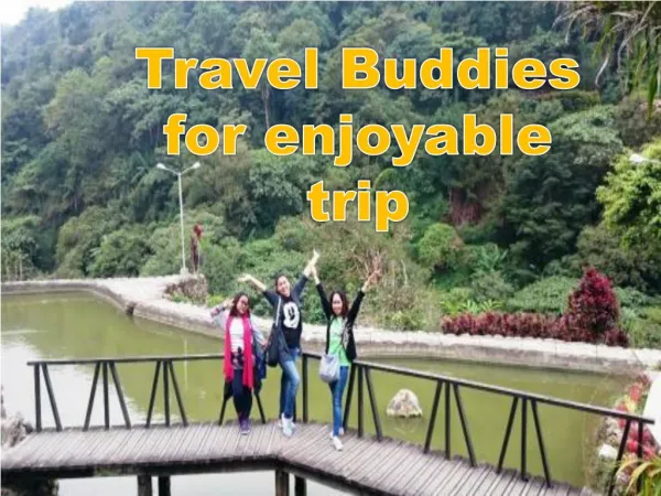 Travel Buddies for enjoyable trip