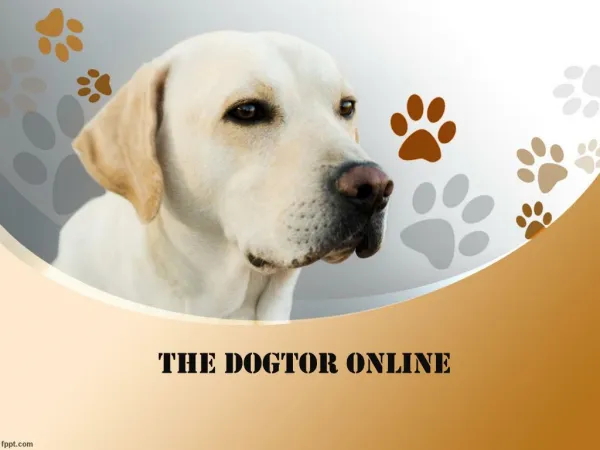 Thedogtoronline.com