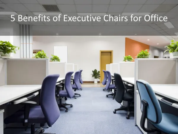 Benefits of Executive Chairs for Your Workplace