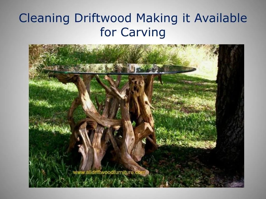 cleaning driftwood making it available for carving