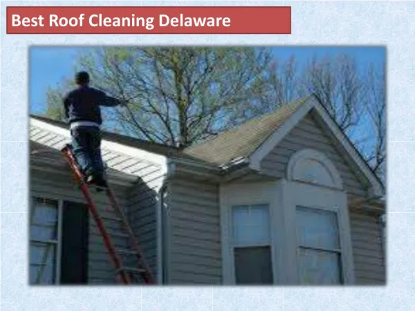 Best Roof Cleaning Delaware