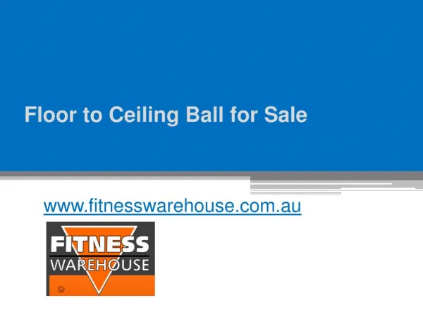 Floor to Ceiling Ball for Sale - www.fitnesswarehouse.com.au