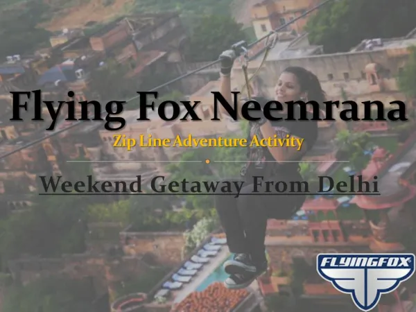 Flying Fox Neemrana Fort Palace