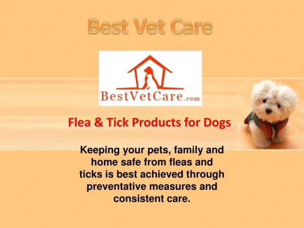 BestVetCare - Flea and Ticks Prevention