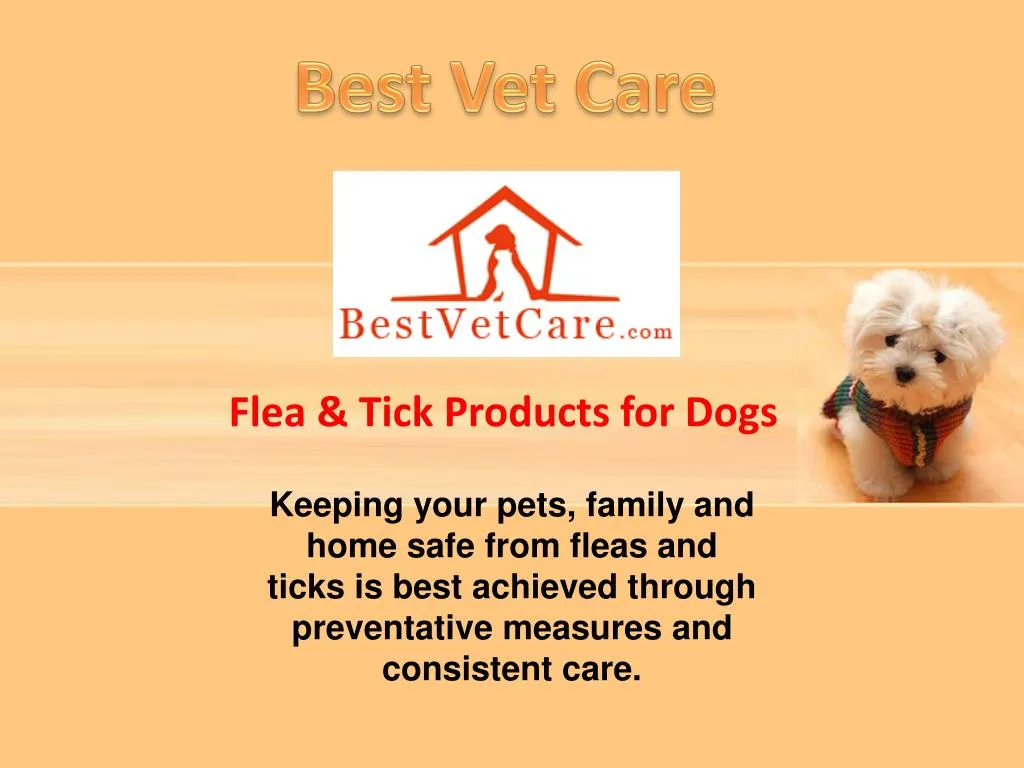 flea tick products for dogs