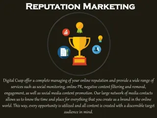 Reputation Management in Knoxville by Digital Cusp - slide 1