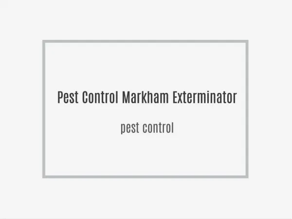 Pest Control Markham Exterminator