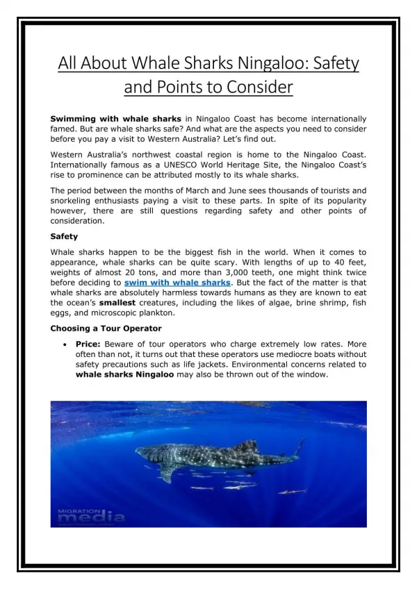 All About Whale Sharks Ningaloo: Safety and Points to Consider