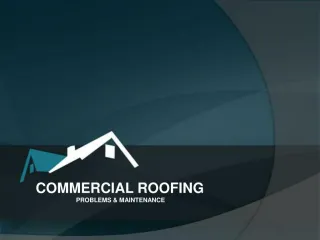 Commercial Roofing – Problems and Maintenance