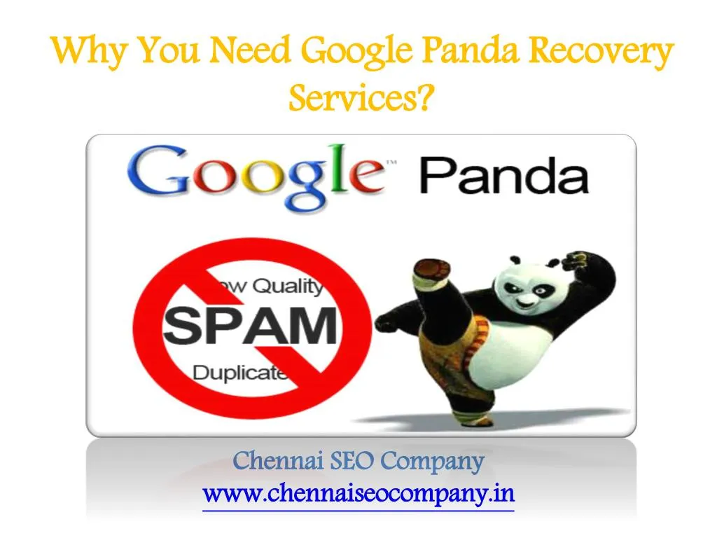 why you need google panda recovery services