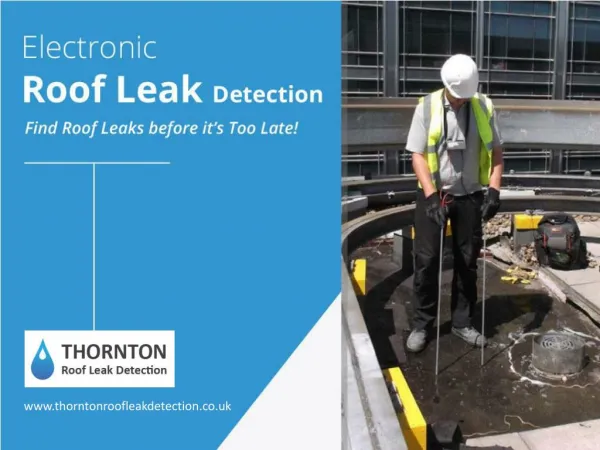 Find Roof Leaks Quickly and Easily - Electronic Roof Leak Detection!