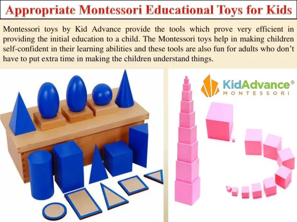 Appropriate Montessori Educational Toys for Kids