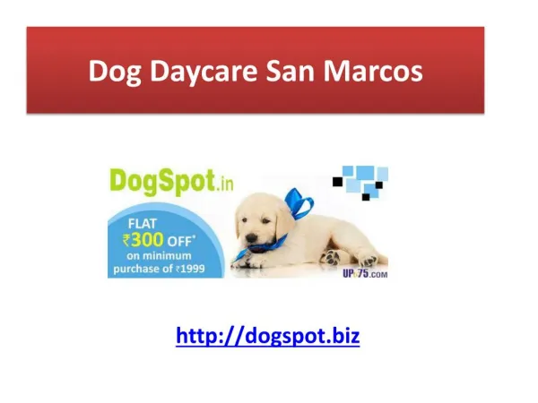 Dog Daycare Del mar