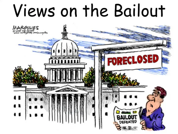 Views on the Bailout