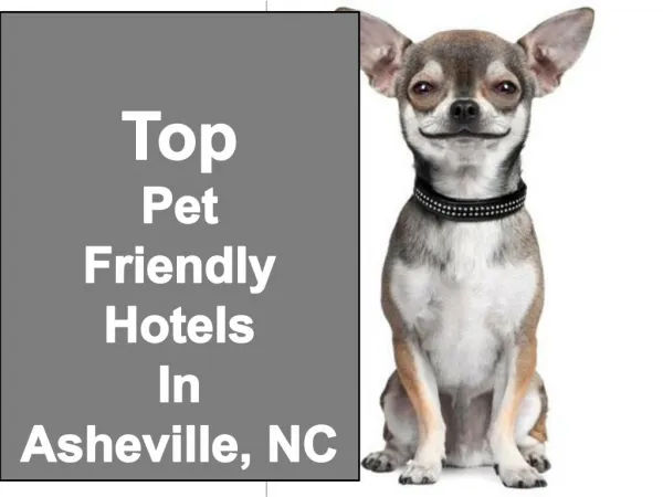 Top Pet Friendly Hotels & Lodging Asheville, NC