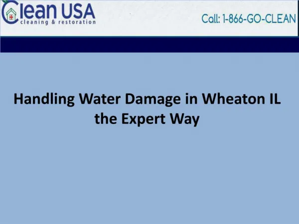 Handling Water Damage in Wheaton IL the Expert Way