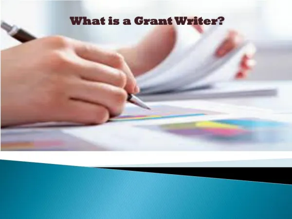 What is a Grant Writer ?