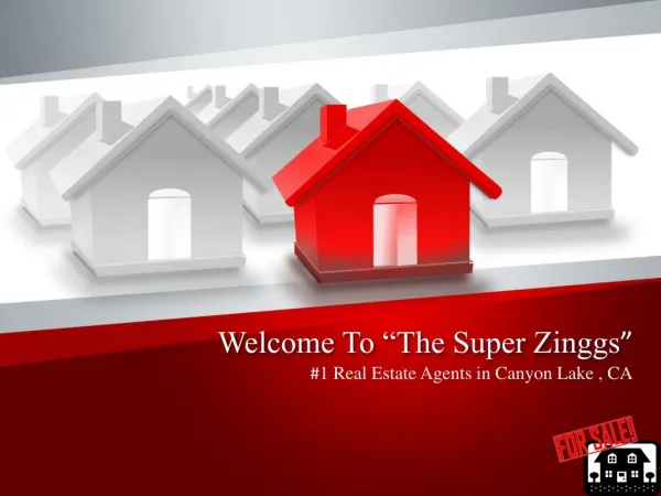 About The Super Zinggs Real Estate