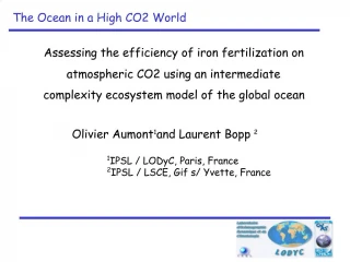 Assessing the efficiency of iron fertilization on atmospheric CO2 using an intermediate complexity ecosystem model of - slide 1