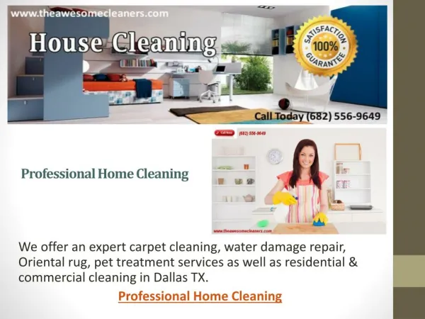 Professional Home Cleaning