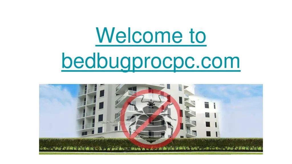 welcome to bedbugprocpc com