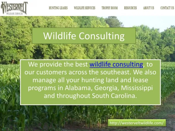Wildlife Consulting