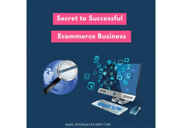 What makes Success to Ecommerce Business?
