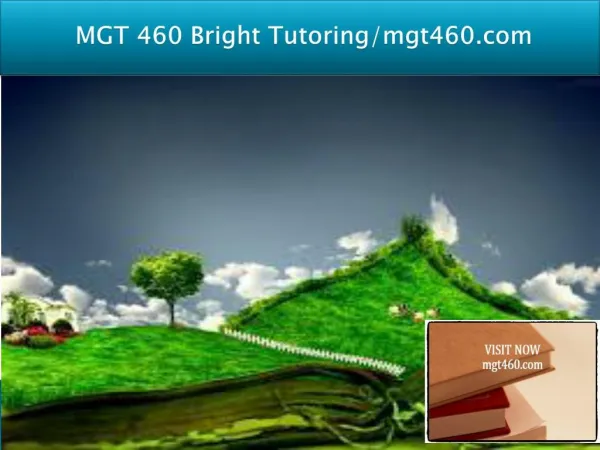 MGT 460 Bright Tutoring/mgt460.com