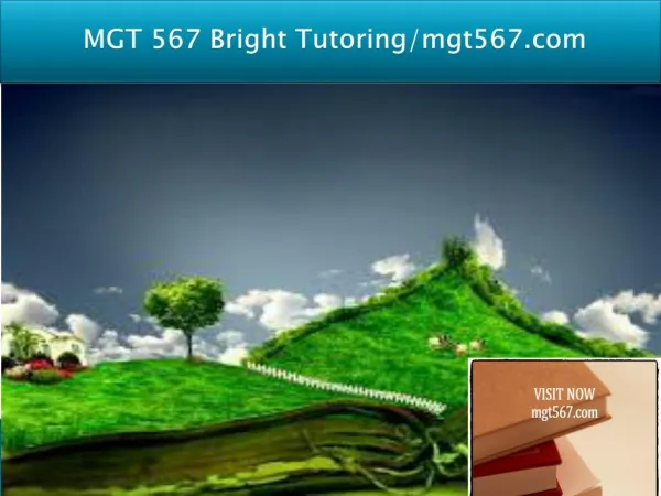 MGT 567 Bright Tutoring/mgt567.com