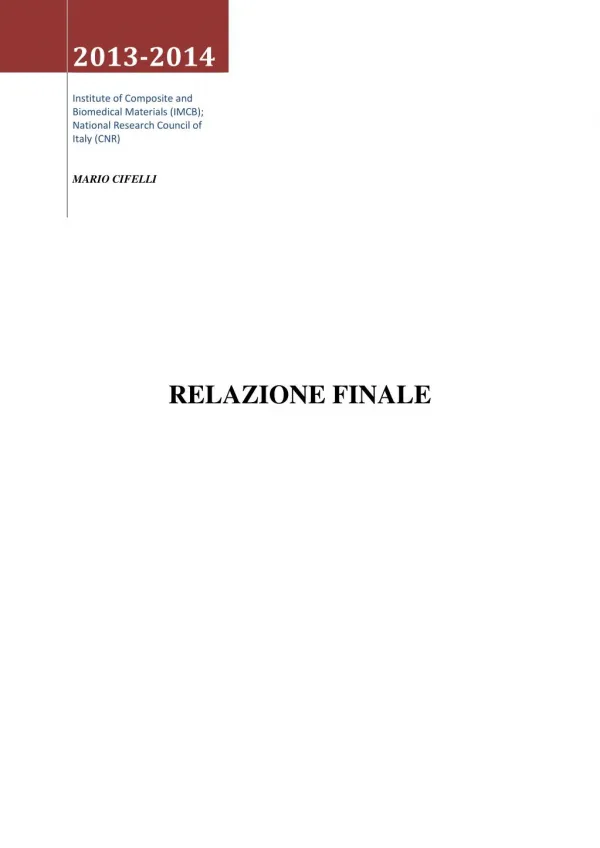 Final Report Mario Cifelli CNR - IMCB