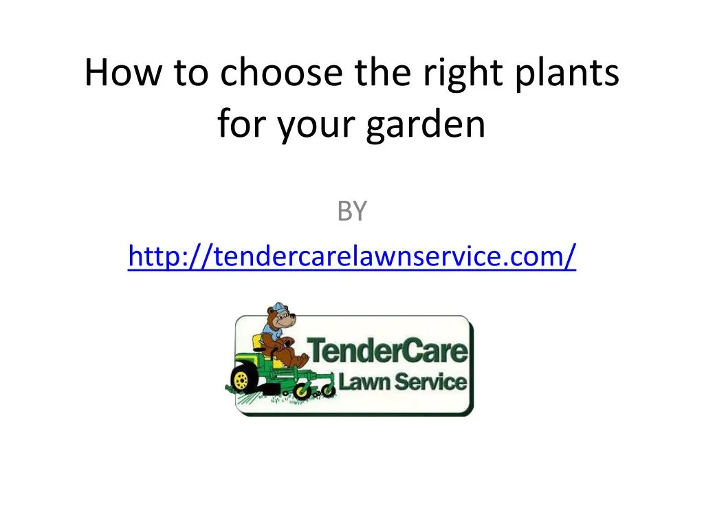 how to choose the right plants for your garden