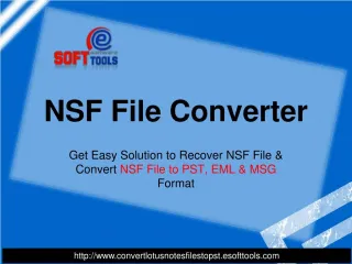 NSF File Converter - slide 1