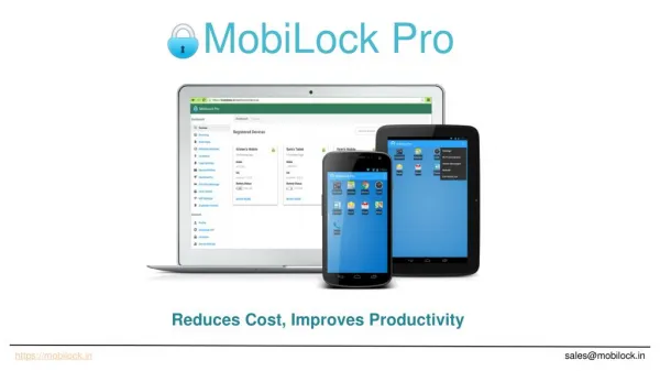What is MobiLock Pro
